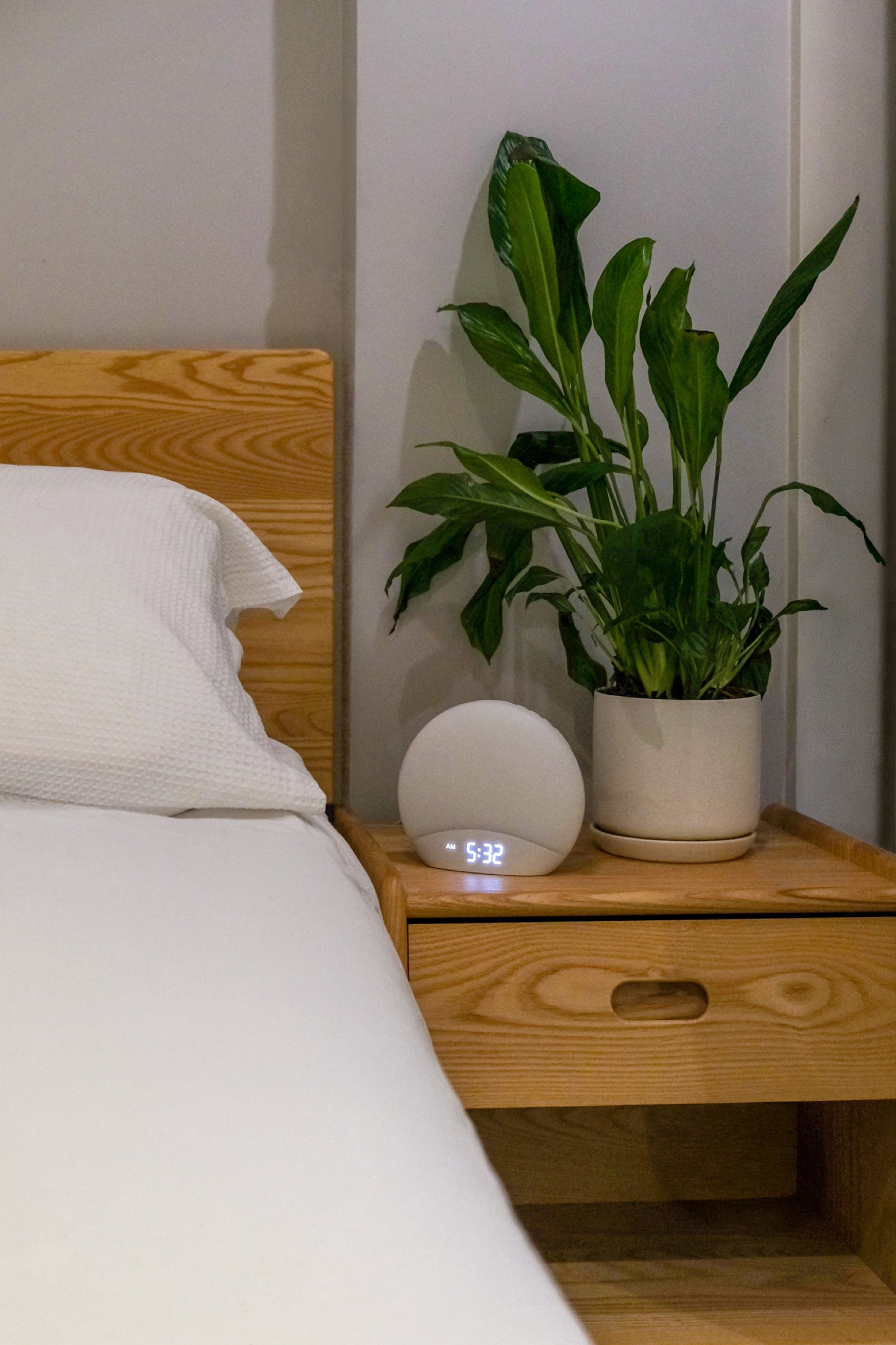 The Sunni Light beside a bed in morning light